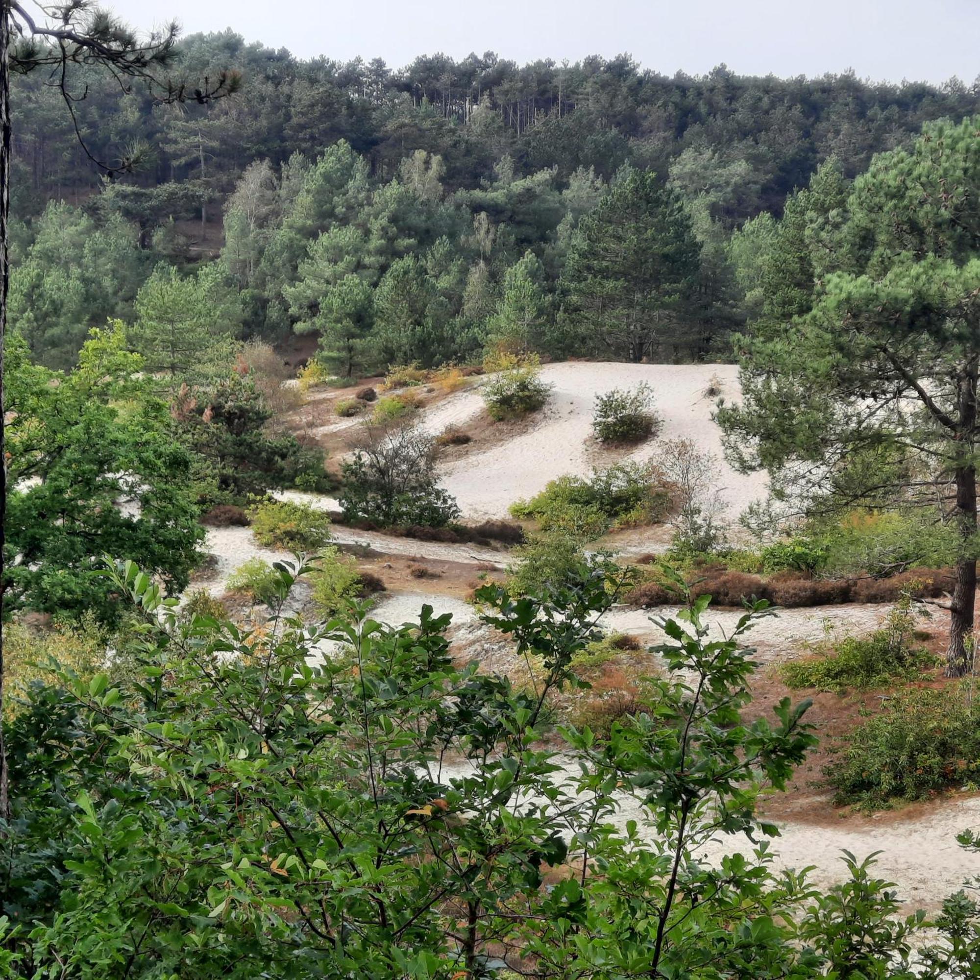 Meertje Villa 81 Op Recreatiepark De Wielen Sint Maarten Exteriör bild
